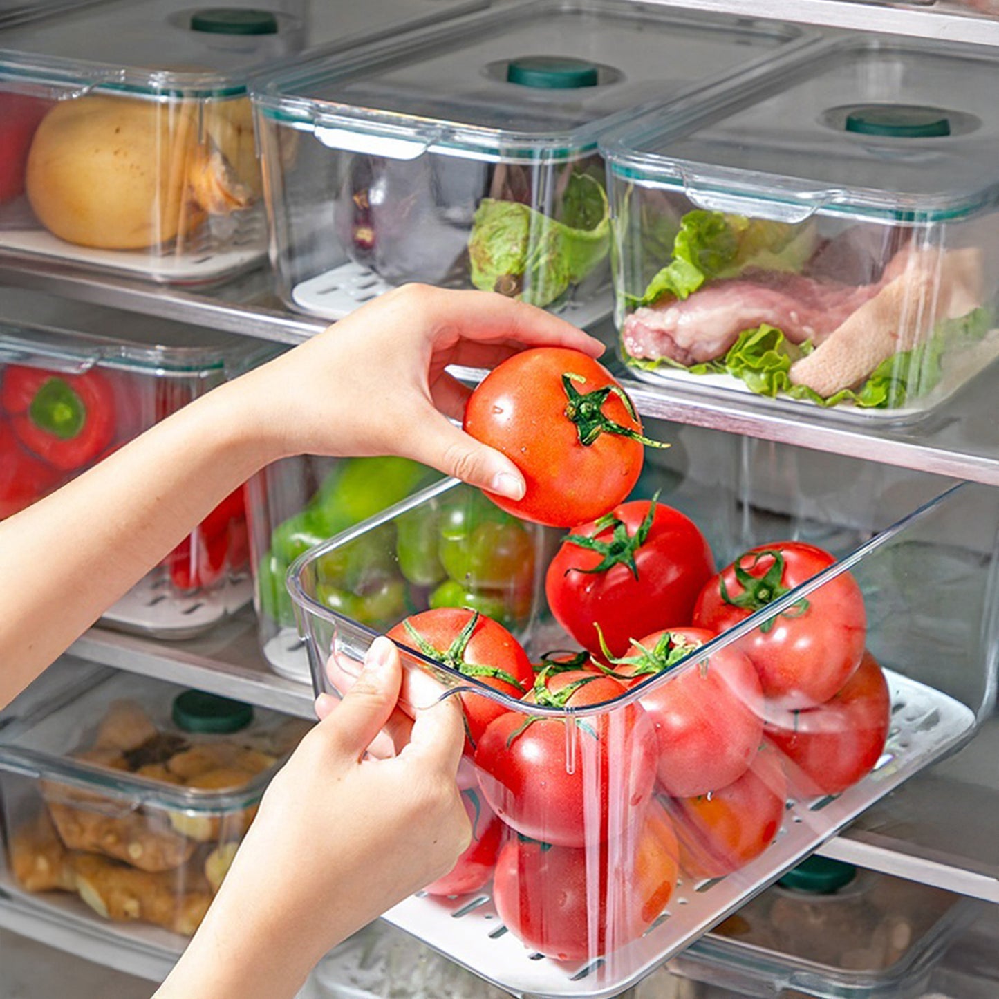 Small - Air Tight Fridge Container Box, Fruits, Vegetables and food storage organizer with Drain tray and Date Marker