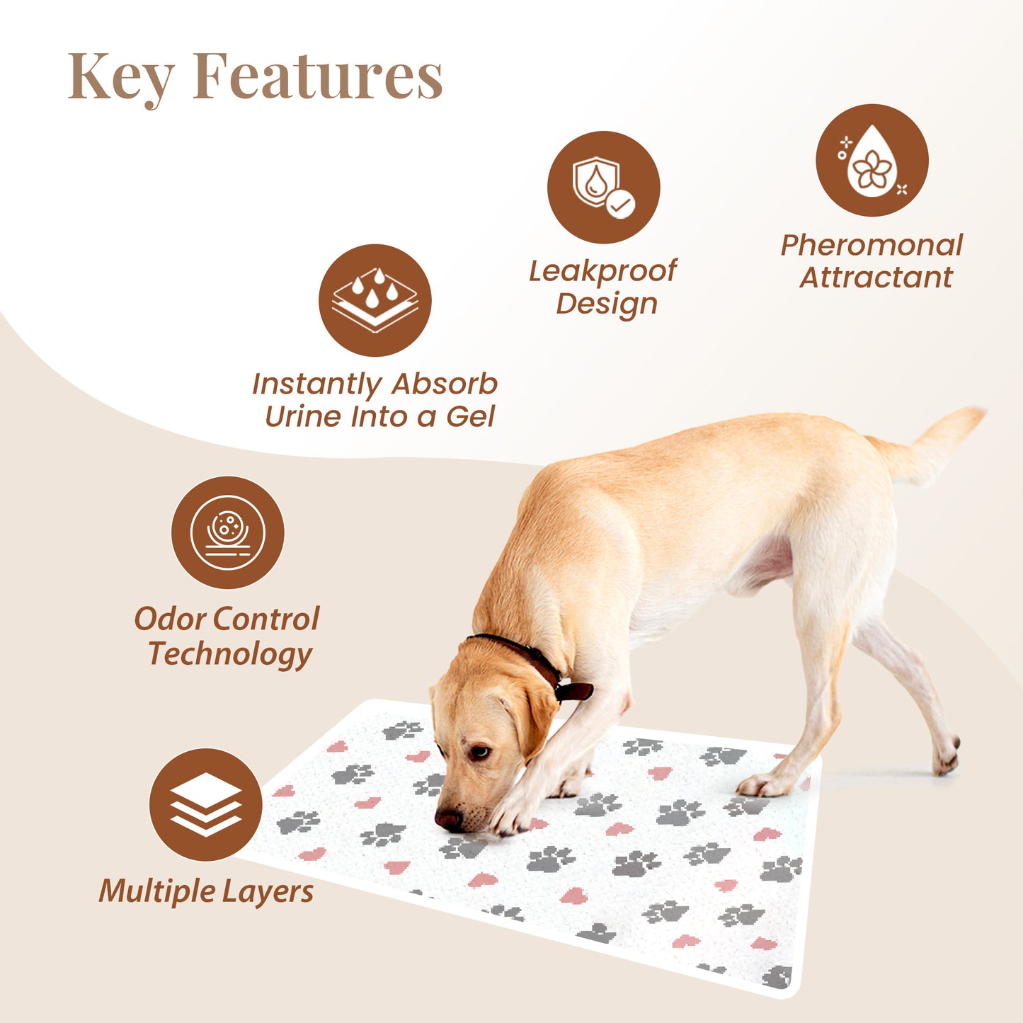 Pet Training Pads, Mess-Free & Moisture-Locking, 40 count