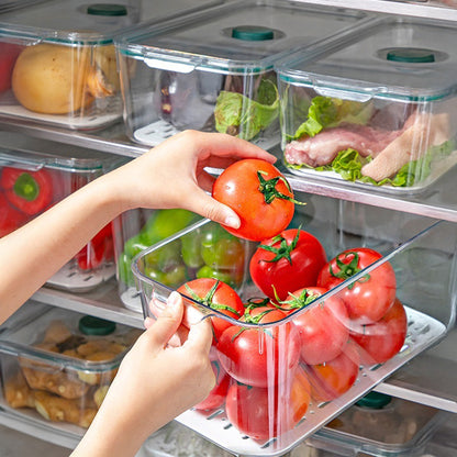 Small - Air Tight Fridge Container Box, Fruits, Vegetables and food storage organizer with Drain tray and Date Marker
