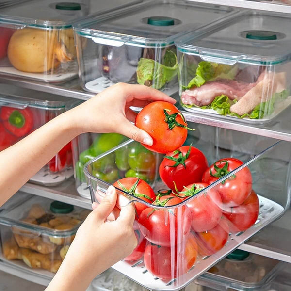 Air - Tight Fridge Container with Drain Tray & Marker - Large - RUBHUB