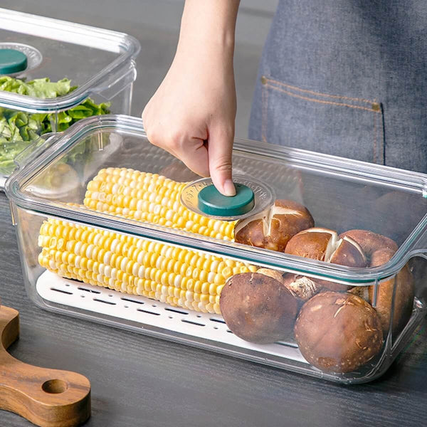 Air Tight Fridge Container with Drain Tray & Marker - Medium - RUBHUB