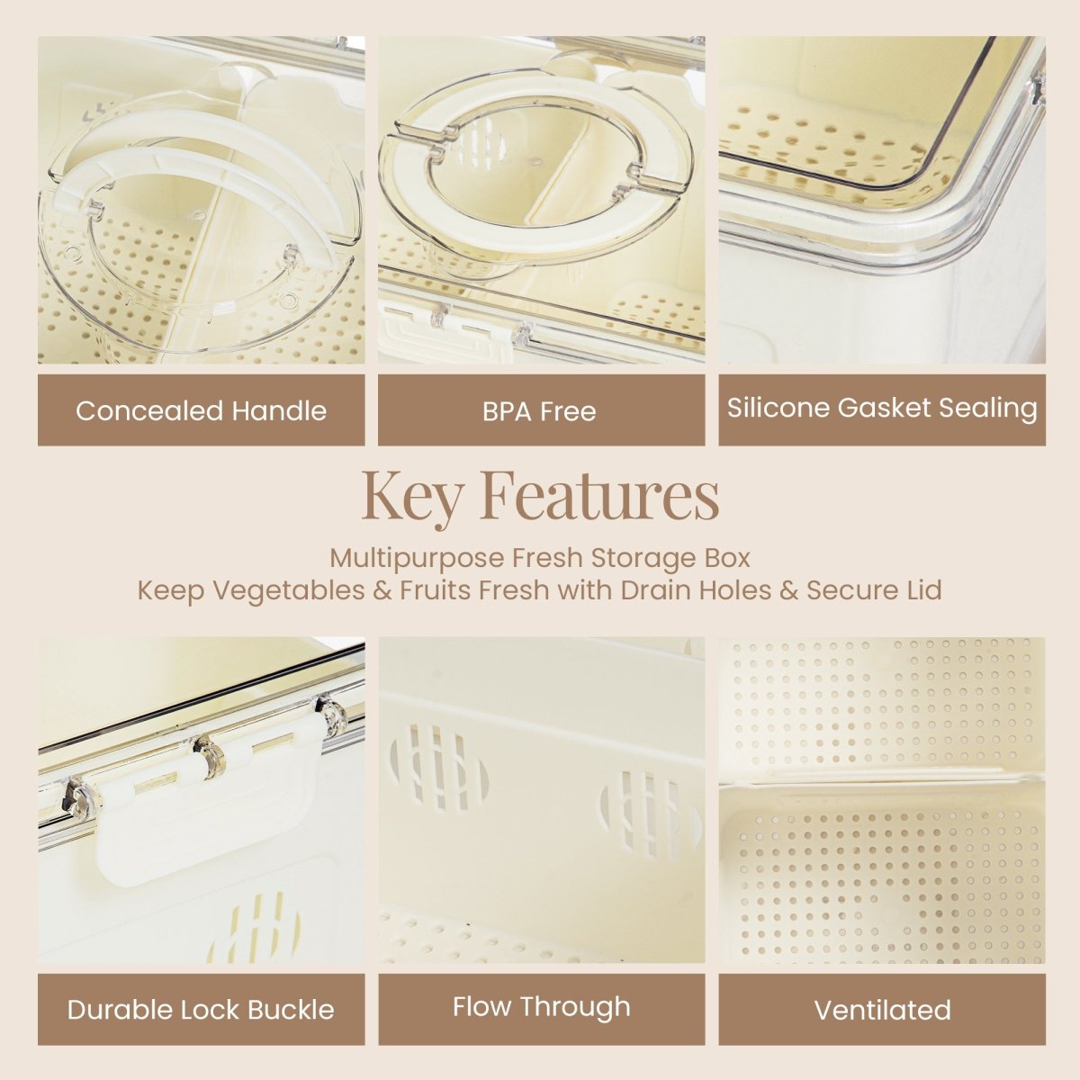 Fridge Container Storage Box with 3 Separate Sections - RUBHUB