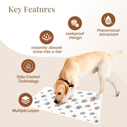 Pet Training Pads, Mess - Free & Moisture - Locking, 40 count - RUBHUB